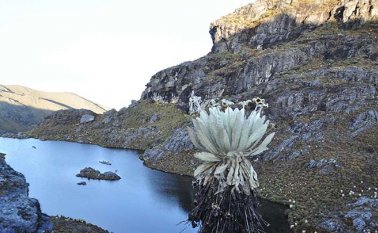 Las autoridades ambientales de Norte de Santander solicitaron que así como Minesa expuso su proyecto minero en Santander, también lo haga en este departamento. Archivo