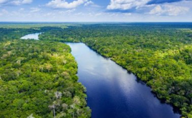 Región del Amazonas. Archivo / La Opinión