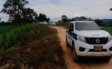 Durante varios días, la Policía adelantó los operativos de búsqueda en la zona rural donde tienen injerencia los grupos armados, pero no hallaron un solo cuerpo. Policía