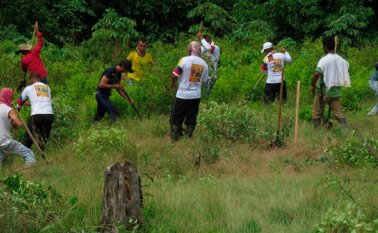 En el informe del ente de control fiscal se alerta sobre los riesgos en la sostenibilidad financiera del Programa Nacional Integral de Sustitución de Cultivos de Uso Ilícito (PNIS) y los efectos que esto puede generar. Archivo La Opinión