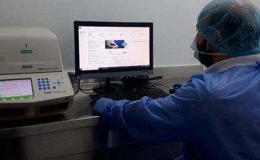 Cortesía para La Opinión