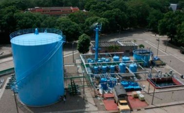 Cortesía para La Opinión