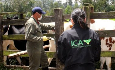 Archivo / La Opinión