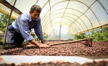 Minagricultura 