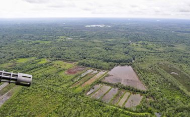 Los hechos se registraron en La Guayacana, sector rural de Tumaco, Nariño. Colprensa