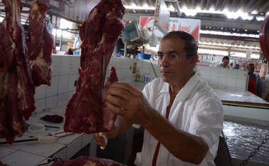 La oenegé sinergia animal le ha pedido al gobierno colombiano que tome medidas para detener la deforestación, el uso irresponsable de antibióticos, la expansión de las granjas industriales y la exportación de animales vivos para consumo. Archivo / La Opinión