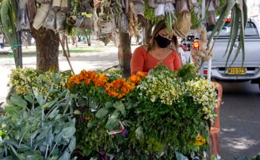 Luis Alfredo Estévez