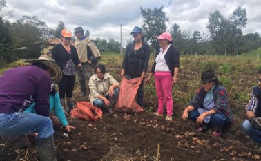Pepsico-Agronegocios