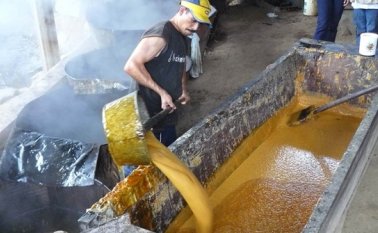 La producción panelera nacional es principalmente a pequeña escala, por lo que la entrada de grandes azucareras al mercado generaría una competencia desleal. Archivo La Opinión