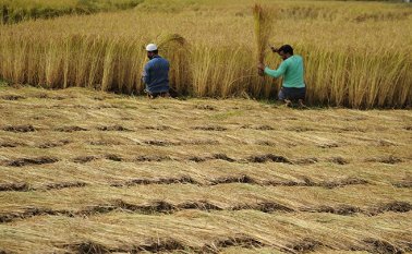 Archivo / La Opinión