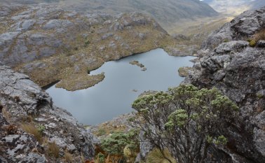 La denuncia ante la Corte IDH se radicará la próxima semana. Archivo
