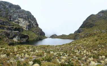 Páramo de Santurbán. Archivo / La Opinión