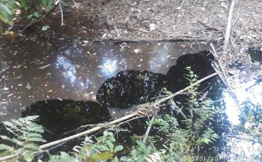 Archivo / La Opinión