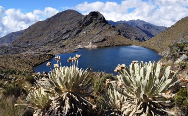 Los congresistas elaborarán un informe sobre la situación del Páramo de Santurbán. Archivo