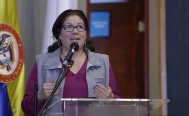 Alejandra Barrios Cabrera, Directora Nacional de la MOE. Colprensa