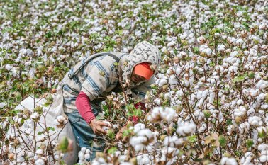 Cortesía MinAgricultura 