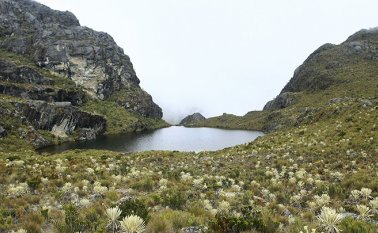 Archivo / La Opinión