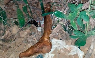 En este sitio fueron hallados los restos humanos. La Opinión