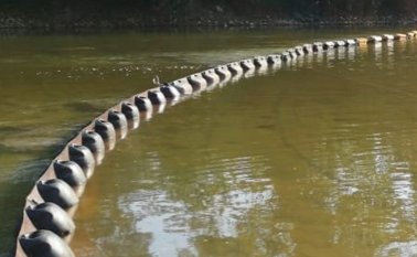 Referencial-La Opinión