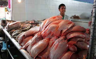 Archivo / La Opinión