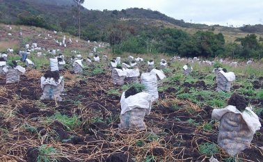 Roberto Ospino / La Opinión 