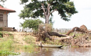 Al parecer, una comisión estaba desarrollando un proceso para posesionarse de unas tierras y esto generó el conflicto que arrojó el lamentable saldo. El Universal