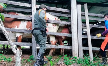 Colombia avanza en la simplificación de los trámites del agro. Archivo La Opinión