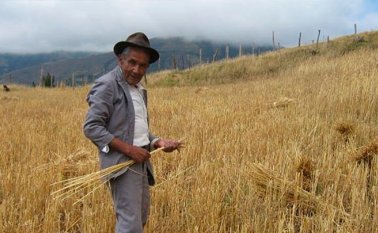 La segunda etapa de esta convocatoria estará habilitada hasta el 23 de diciembre de este año. Archivo La Opinión