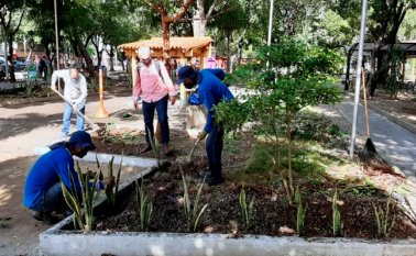 La jornada finalizó en el Parque Nacional, donde se sembraron 20 lenguas de suegra. Cortesía.