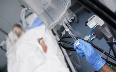 Las primeras cifras muestran que el 65,2% de los votantes apoya la eutanasia. Cortesía