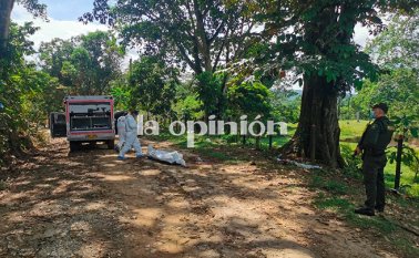 Cortesía para La Opinión