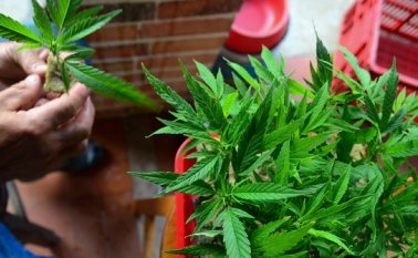 Archivo / La Opinión