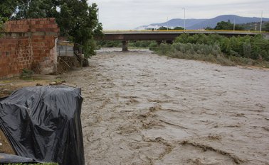 Luis Alfredo Estévez