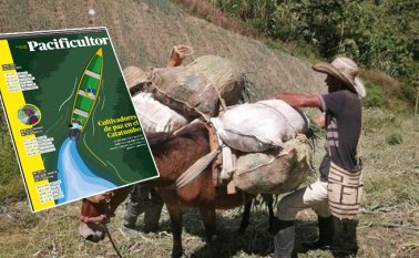 Los campesinos del Catatumbo y los gestores de paz serán los principales protagonistas en el nuevo periódico. Archivo y Cortesía