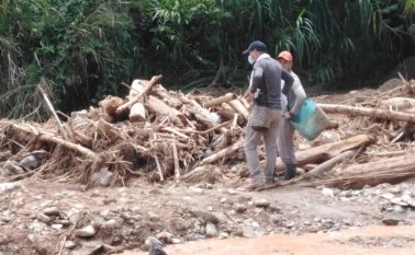 Los campesinos han sido los más afectados, ya que han perdido cultivos de
pimentón, tomate y cebolla. Cortesía
