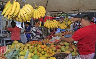 Archivo La Opinión.