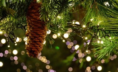 No toda la mercancía que se ofrece cuenta con el mismo nivel de calidad, seguridad o la máxima tecnología que se desearía. Cortesía