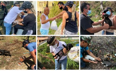 Equipo de profesionales en veterinaria y zootecnia, que llegó a la isla gracias a la Fuerza Aérea Colombiana. Colprensa