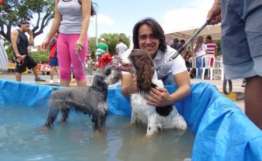 Caicedo es defensor de los derechos de los animales desde hace varios años. Archivo