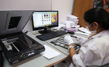 La crisis pandémica ha afectado el empleo en América Latina. Archivo / La Opinión