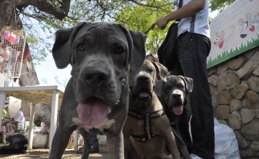 Archivo / La Opinión 