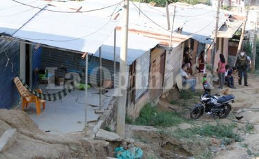 Alfredo Estévez / La Opinión