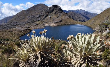 Archivo / La Opinión