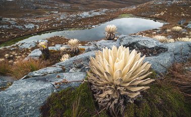 Archivo / La Opinión