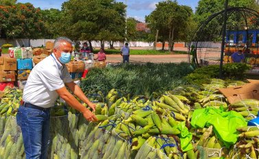 El secretario de Agricultura de Norte de Santander, Wilmar Arévalo, dijo que en 2021 el gobierno departamental seguirá apoyando el campo.  Foto cortesía para La Opinión