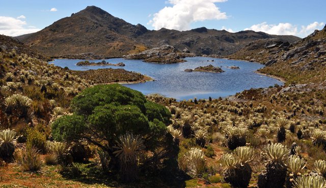 Paisajes de ensueño hay en Santurbán, los mismos donde nace el agua para dos departamentos. Archivo