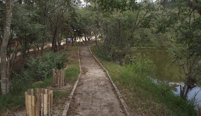 El jardín Botánico cuenta con amplias zonas verdes y un lago, que en épocas de sequía ha servido para el riego del lugar. Archivo