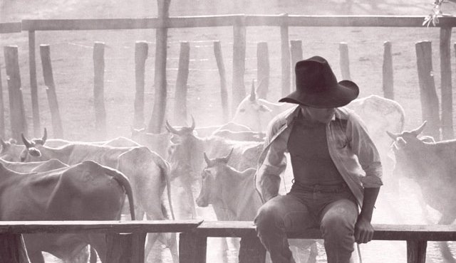 La muestra incluye fotos de Fernell Franco, Nereo López, Vicky Ospina y Fernando Urbina. Cortesía