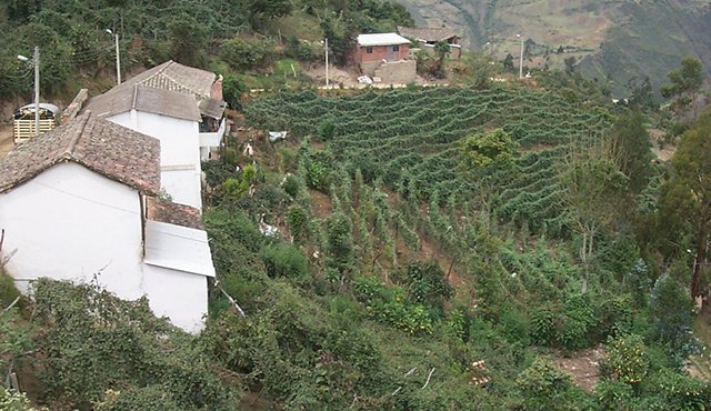 La formalización de la propiedad rural incluye 89 municipios en 17 departamentos en los que sobresale la informalidad en la tenencia de la tierra. Archivo