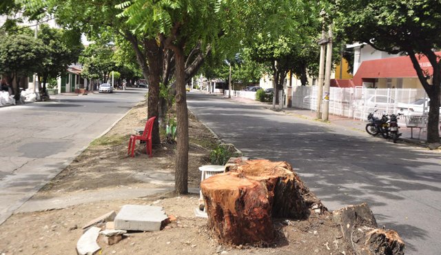 Vecinos de Ceiba II denunciaron que las podas en la avenida 3E estaban secando los árboles. Edinsson Figueroa